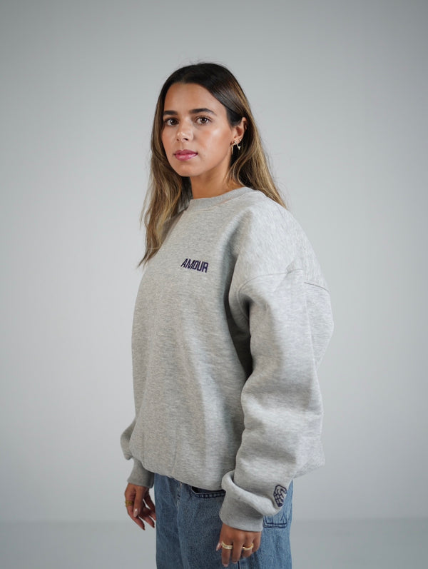 Crewneck light gray x navy blue