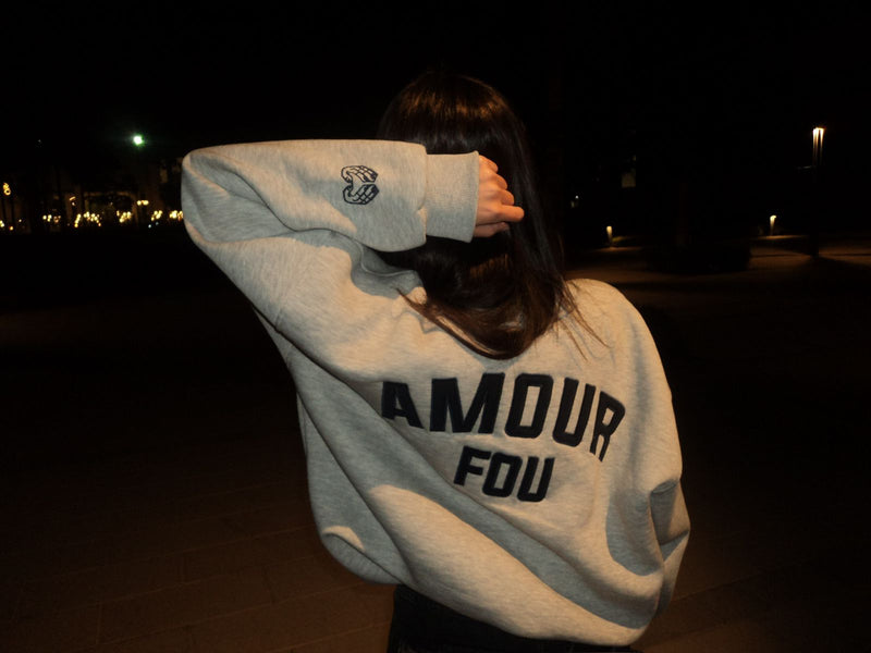 Crewneck light gray x navy blue